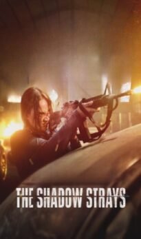The Shadow Strays Dual Audio HDRip